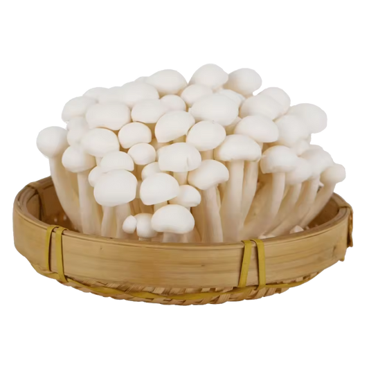 MUSHKING 시메지 버섯 (흰색) 150G