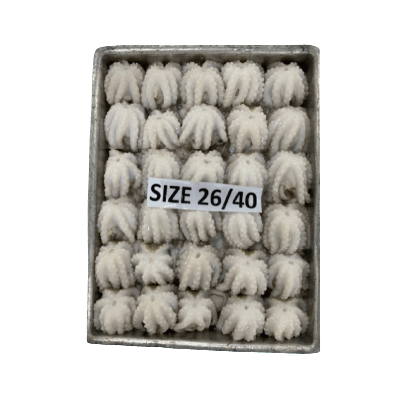 쭈꾸미 (26/40) 2KG X 6입