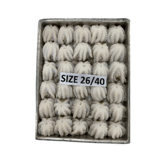 쭈꾸미 (26/40) 2KG X 6입