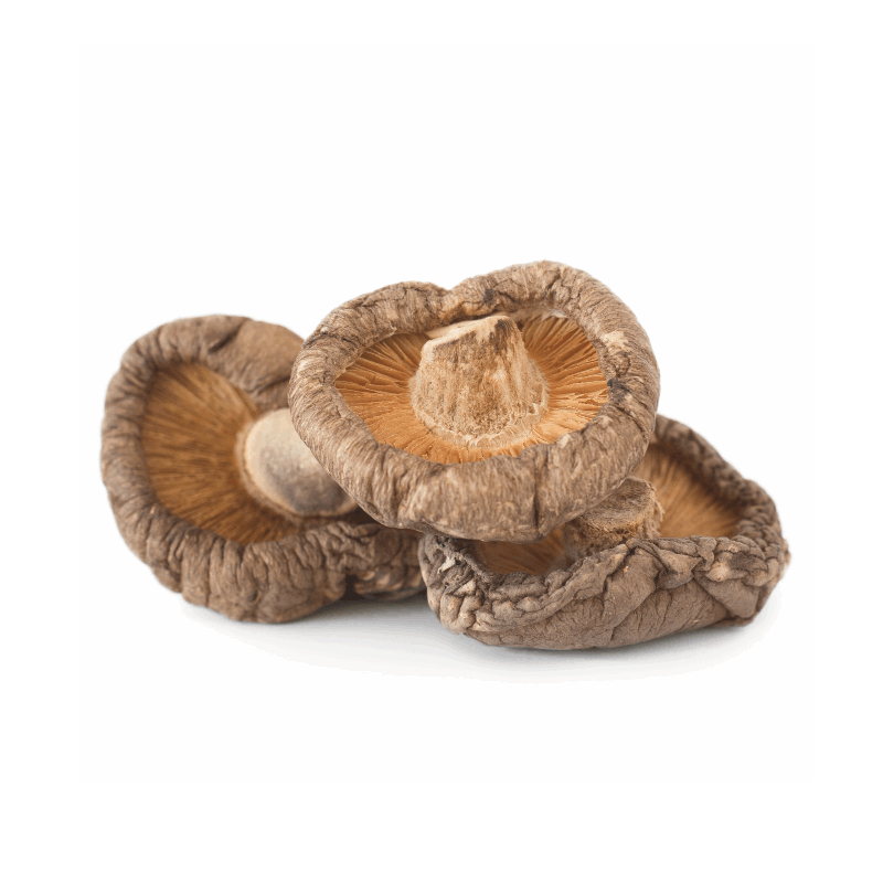 마른표고버섯(통) 1KG