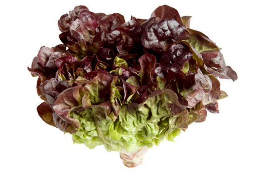 ์ผ์ฑ ์คํฌ์์ถ ๋ ๋(8BUNCH)