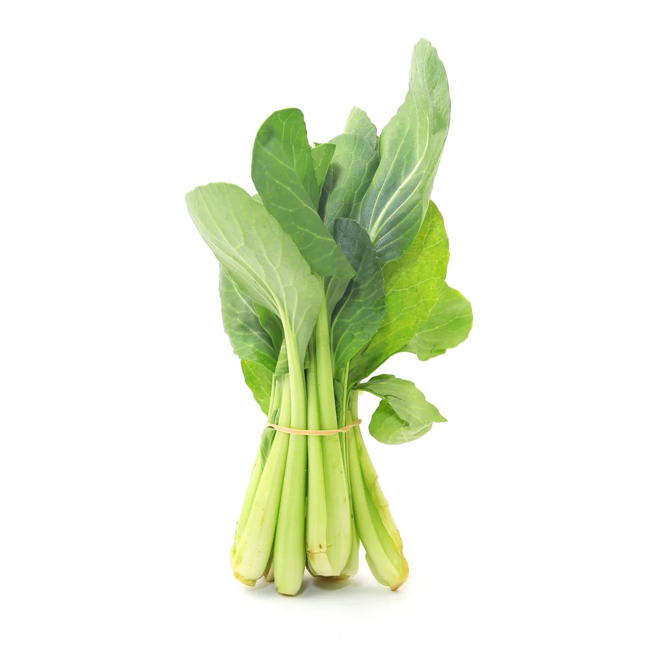 야채 청경채(초이삼_하루나)(1BUNCH)