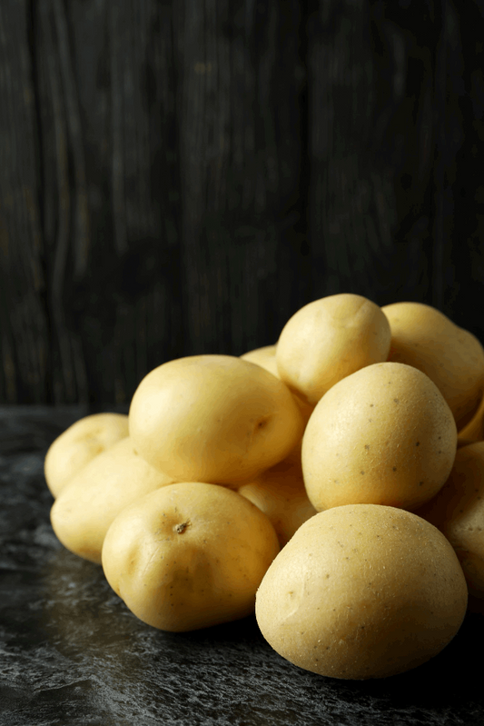 ์ผ์ฑ ๊ฐ์ (LARGE) 20KG