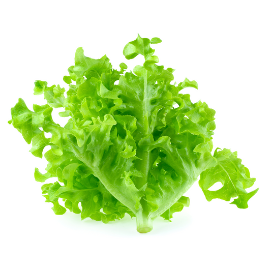์ผ์ฑ ์คํฌ์์ถ ๊ทธ๋ฆฐ(8BUNCH)