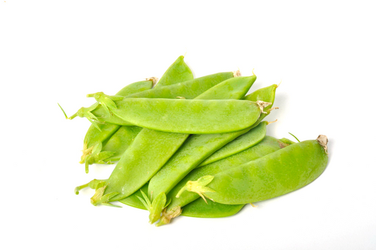 ์ผ์ฑ ์ค๋
ธ์ฐํผ(1KG)