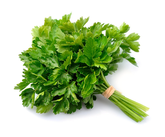 ์ผ์ฑ ์ปจํฐ๋จํ ํ์ฌ๋ฆฌ(1BUNCH)