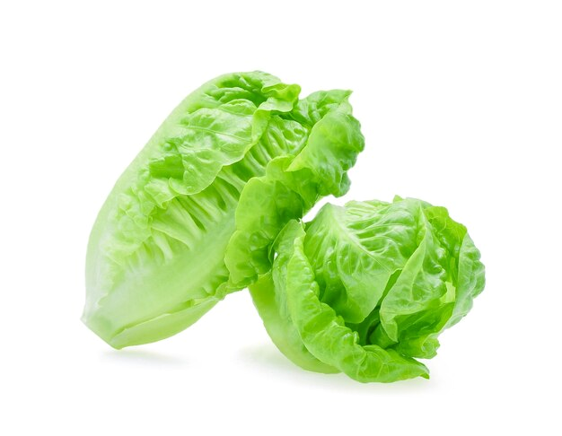 야채 베이비 코스상추(8BUNCH)