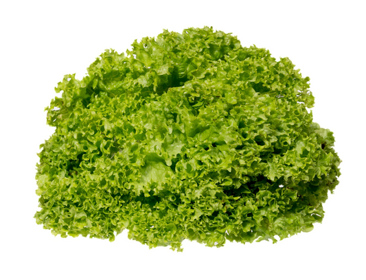 ์ผ์ฑ ์ฝ๋ด์์ถ ๊ทธ๋ฆฐ(8BUNCH)