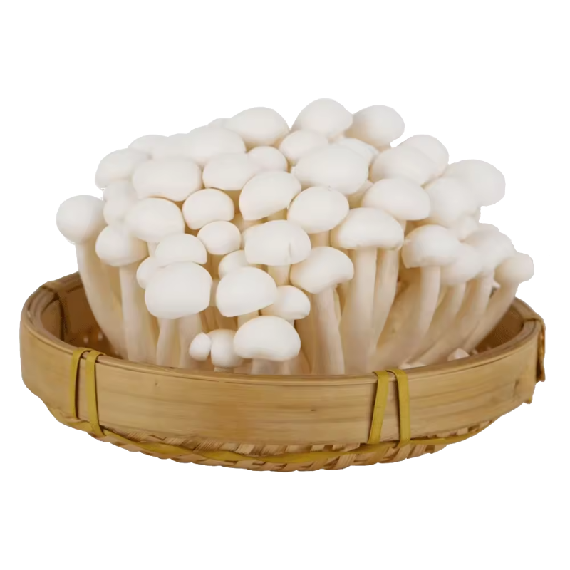 MUSHKING SHIMEJI MUSHROOMS (WHITE) 150G