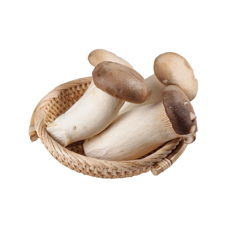 MUSHKING KING OYSTER MUSHROOM 400G