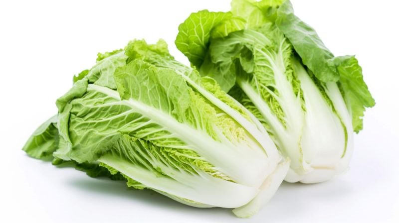 Vegetable cabbage (1EA)