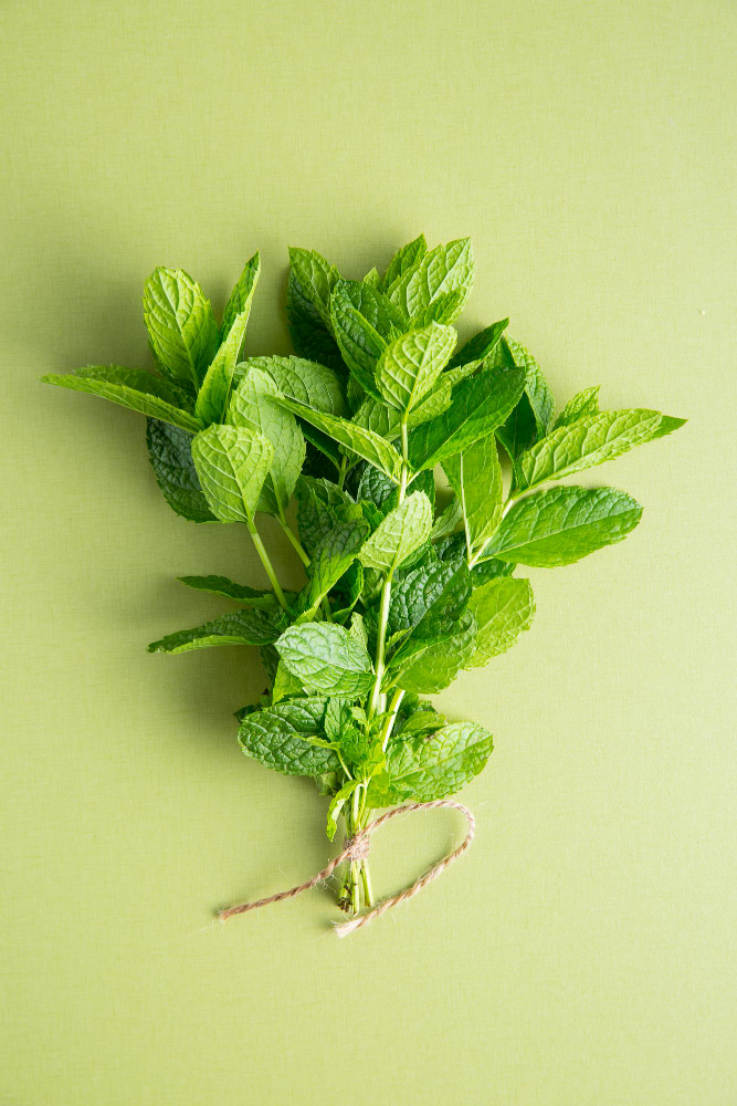 Vegetable Mint (1 BUNCH)