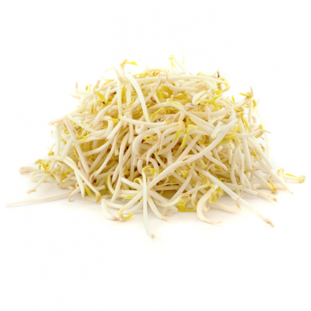 Vegetable bean sprouts 450G (1PACK)