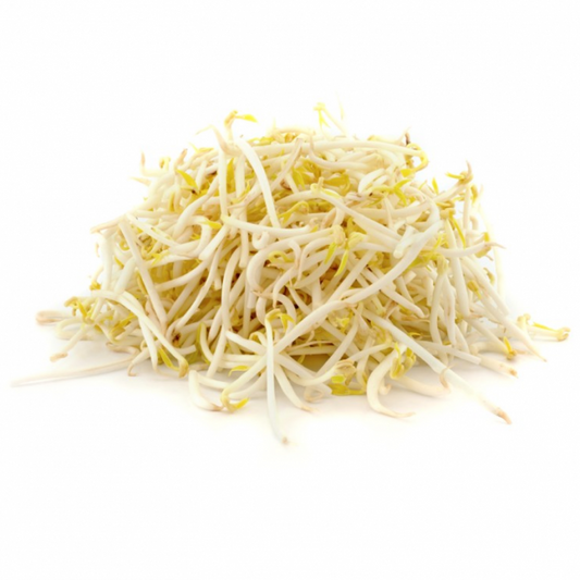 Vegetable bean sprouts 450G (1PACK)