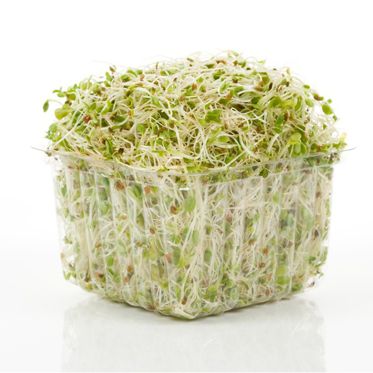 Vegetable Alfalfa (1PACK)