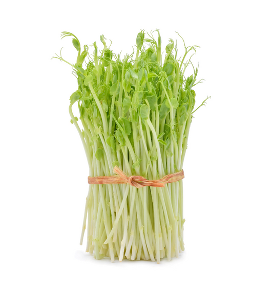 Vegetable snow pea sprouts (radish sprouts 1 PACK)