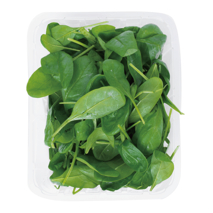 Vegetable Baby Spinach (3KG)