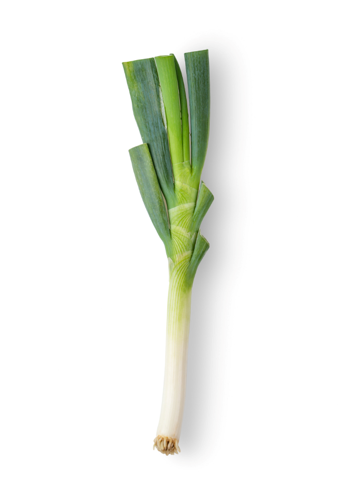 Vegetable green onion leeks (1EA)