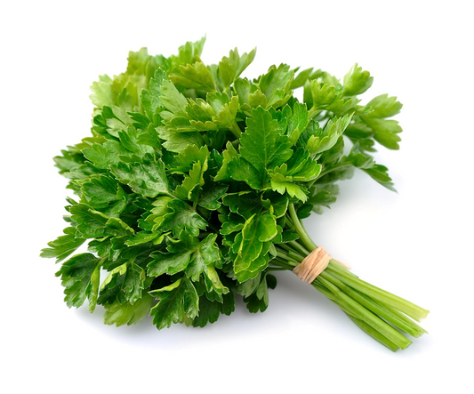 Vegetable Continental Parsley (1 BUNCH)