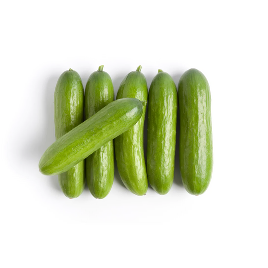 Vegetable Lebanese Cucumber (10KG)