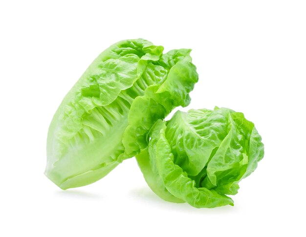 Vegetable Baby Kos Lettuce (8 BUNCH)