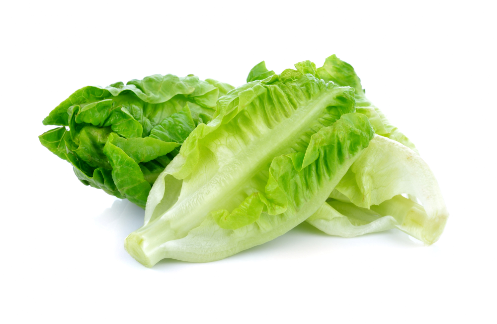 Vegetable Course Lettuce (8 BUNCH)