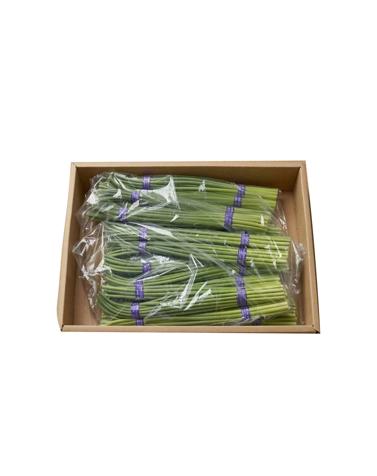 야채 마늘쫑 (40BUNCH/박스)