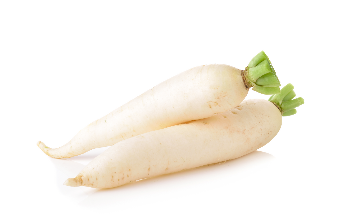 Vegetable Radish (1EA)