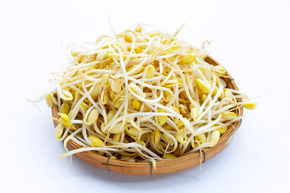 Vegetable bean sprouts (1EA)