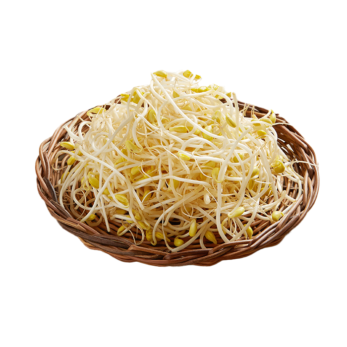 MANNA Bean Sprouts 450G